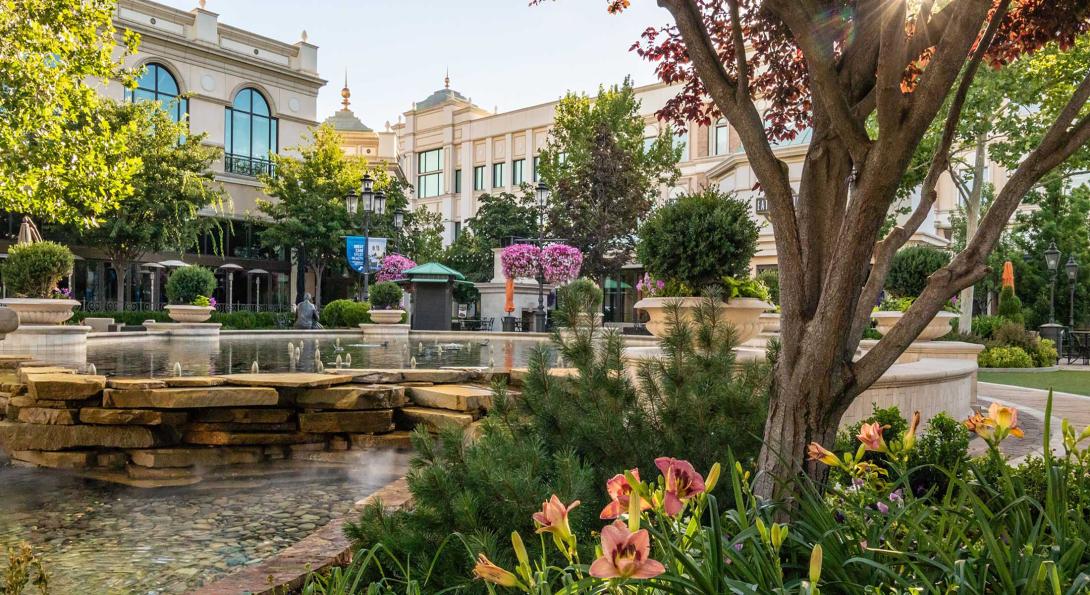 Intermountain Plantings Homepage